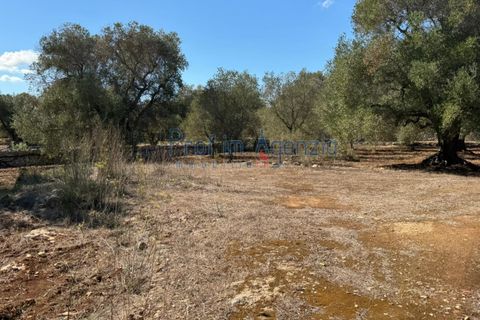 Helårsgrund i Carovigno, Brindisi, Carovigno - € 29.000 | Ref: 122781 - foto 2